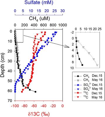 Concurrent Methane Production and Oxidation in Surface Sediment from Aarhus Bay, Denmark